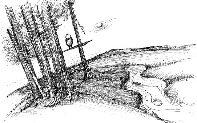 I Can Fly Drawing 1
