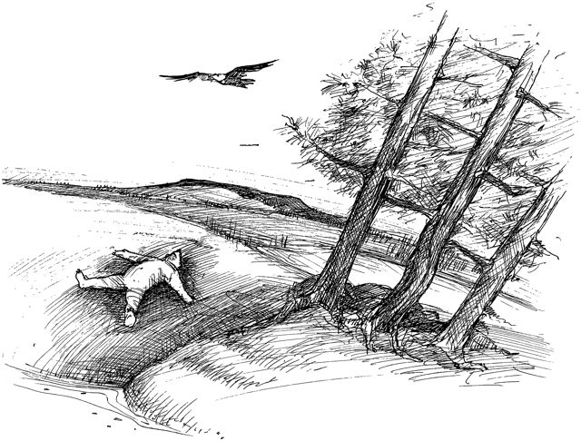 I Can Fly Drawing 2