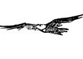 I Can Fly Drawing