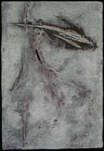 Aurigae