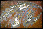 Cassiopea